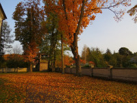IMG_4189.jpg