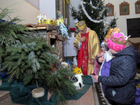 IMG_6823.jpg
