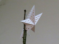 IMG_6830.jpg