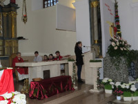IMG_0211.jpg
