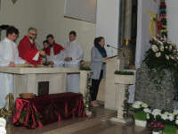 IMG_0217.jpg