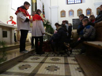 IMG_0272.jpg