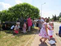 IMG_5334.jpg