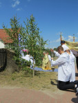 IMG_5347.jpg