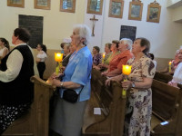 IMG_5484.jpg