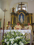 IMG_68491.jpg