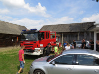 IMG_70841.jpg