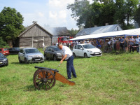 IMG_71131.jpg
