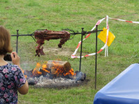 IMG_72131.jpg