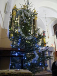 IMG_2810.jpg