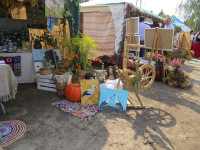 IMG_8489.JPG