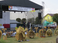 IMG_8522.JPG