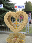 IMG_8527.JPG