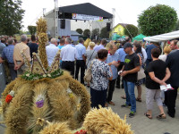 IMG_8530.JPG