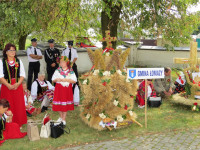 IMG_8419.JPG