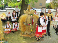 IMG_8427.JPG