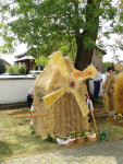 IMG_8426.JPG