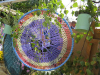 IMG_8617.JPG