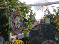 IMG_8618.JPG