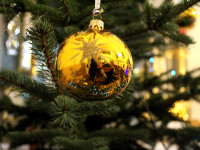 IMG_8032.JPG