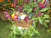 IMG_0009.JPG