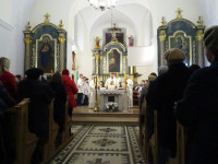 IMG_2223.jpg
