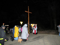 IMG_2478.jpg