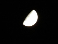 IMG_2554.jpg
