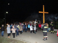 IMG_2594.jpg