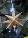 1-IMG_3523.jpg