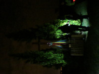 IMG_4613.jpg