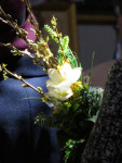 1-IMG_4767.JPG
