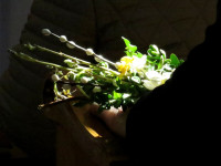 1-IMG_4764.JPG