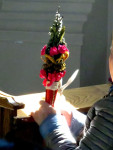 1-IMG_4788.JPG