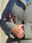 1-IMG_5313.JPG