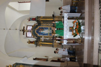 IMG_8237.jpg