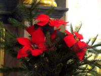 IMG_1664.JPG