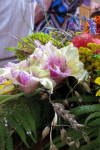 IMG_8679.JPG