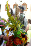 IMG_8664.JPG