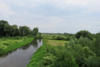 IMG_8758.JPG
