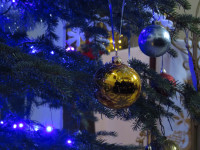 IMG_0004.JPG