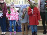 Rozwiązanie konkursu na najpiękniejszą palme - 24.03.2024