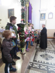 Rozwiązanie konkursu na najpiękniejszą palme - 24.03.2024