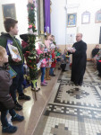 Rozwiązanie konkursu na najpiękniejszą palme - 24.03.2024