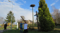 Droga Krzyżowa w Niedzielę Palmową - 24.03.2024