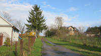 Droga Krzyżowa w Niedzielę Palmową - 24.03.2024