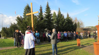 Droga Krzyżowa w Niedzielę Palmową - 24.03.2024