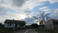 Droga Krzyżowa w Niedzielę Palmową - 24.03.2024