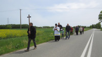 Poświęcenie pól w Neplach - 11.05.2024