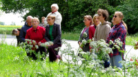 Poświęcenie pól w Neplach - 11.05.2024